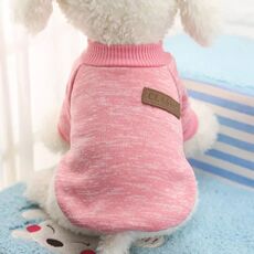 Одежда и аксессуары для собак dog