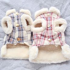 Одежда и аксессуары для собак winter