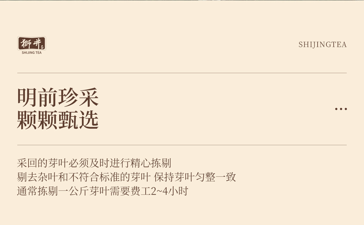 安享好物 安享B级绿茶-狮井明前 特级龙井