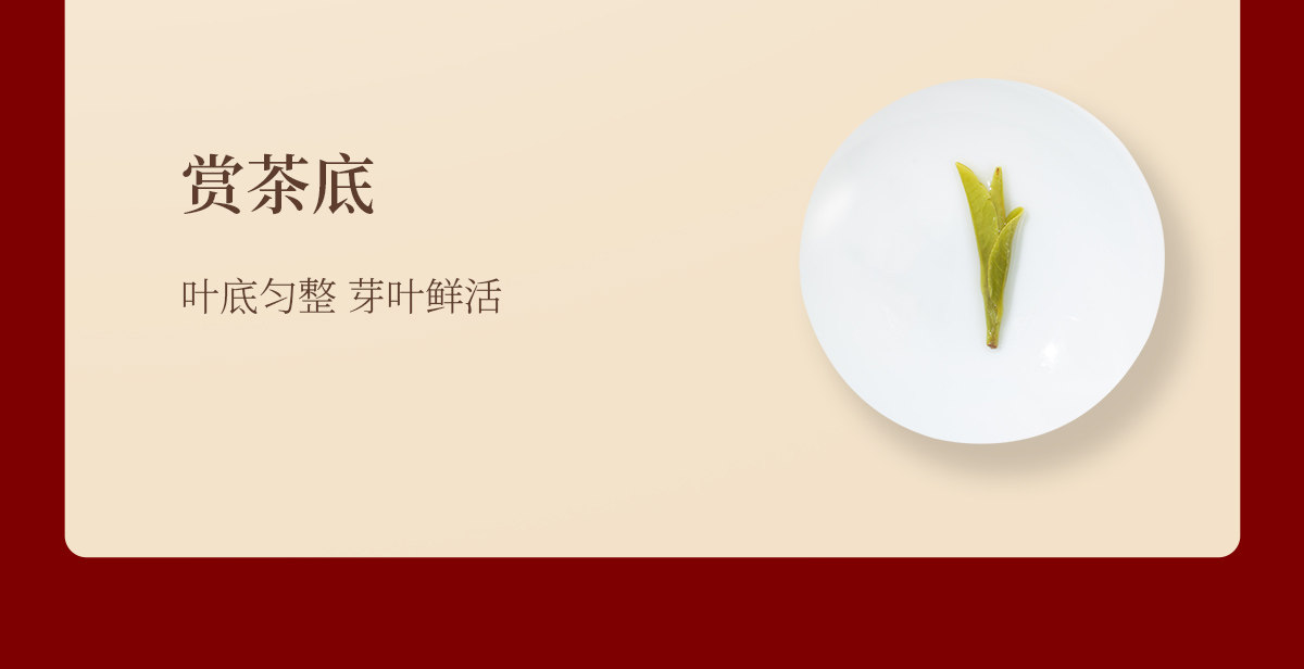 安享好物 安享B级绿茶-狮井明前 特级龙井