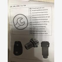 Grundfos 96441877 Grundfos original imported water