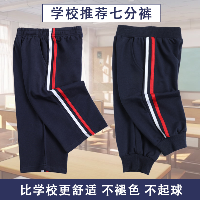 Dark Blue Sports Shorts for Boys, Three-Quarter Length, School Uniform Pants, Navy Blue with Red and White Two Stripes, Single Stripe, School Pants for Primary and Secondary School Students