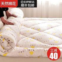 Four seasons rice student bed mattress bottom bunk lunch break 1 2 universal dormitory mattress single mattress