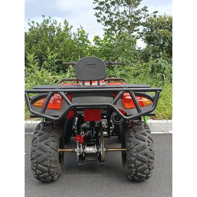 Arctic Sky BJS250 Loncin ພູເຂົາສີ່ລໍ້ ATV ນໍ້າມັນເຊື້ອໄຟໄກ່ປ່າ off-road ລົດຈັກ ATV ຍານພາຫະນະທຸກພູມສັນຖານ