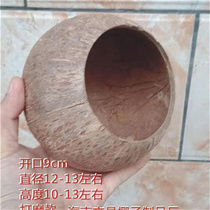 Natural coconut shell old small opening smooth coconut shell kindergarten DIY multi-meat planting flower pot handicraft