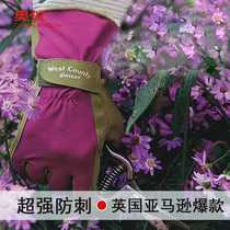TOWA florists special gloves for gardening and gardening anti-thorn and anti-puncture rose anti-cut and wear-resistant hand guards
