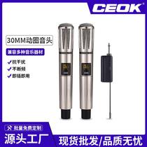 Wireless universal microphone one-to-two KTV FM U-section stage home home entertainment teaching audio microphone custom-made