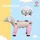 New autumn and winter dog boxer briefs, urine-proof plus velvet warm quilted leg covers, suspenders, foot-covering pet anti-dirty pants, one-piece clothes