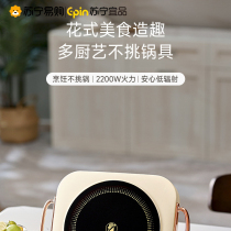 Electric hot pot household small electric pot special non-stick pot multi-functional steaming frying and frying all-in-one 2880