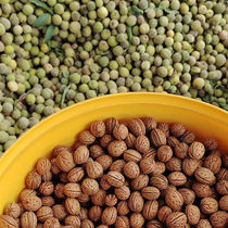 Slapping bag filling wild peach and walnut seeds raw material cervical pillow slapping bag filling wholesale price