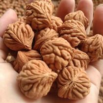 Special offer on peach stone bracelets 4 pounds for a large portion Qinling wild peach dragon about 14-16mm size peach stone bracelets