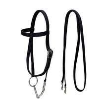 Chew special price fork bridle rein bit halter water bridle double-layer reinforced ring chew mouth