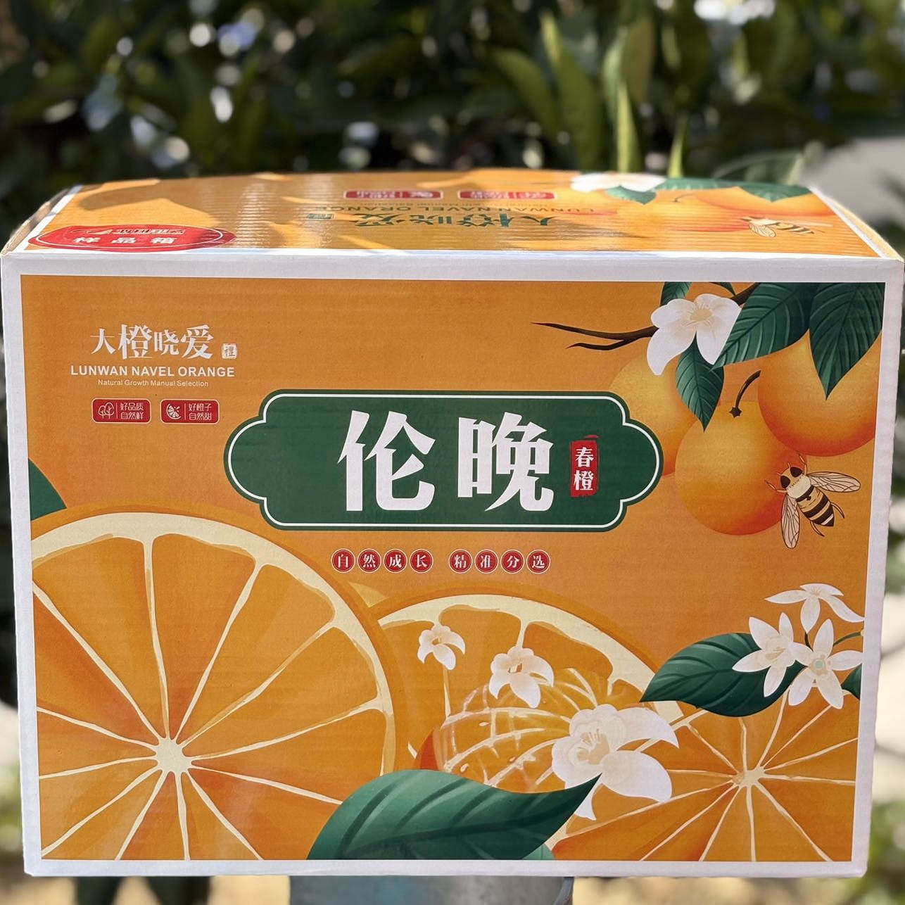 秭归伦晚脐橙:头一年春天开花 翌年3月成熟,甜到心里去的美味橙子!-橙-淘宝好物网