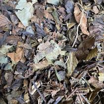 Net content of Xiaoyan King 150g-1000g