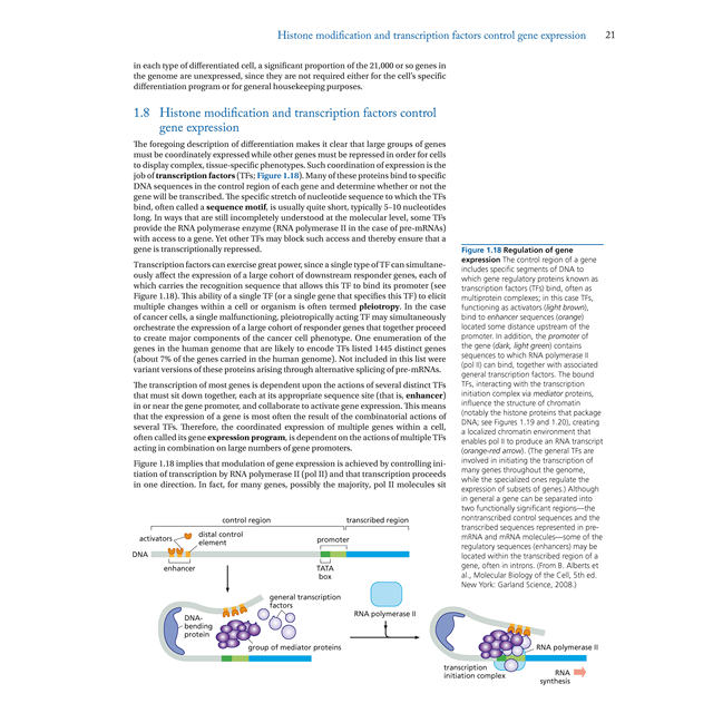 The Biology of Cancer 2Nd Edition