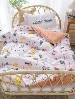 Washed cotton super soft spring, autumn and winter quilt p nap quilt kindergarten thickened quilt core washable quilt cover