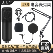 Germany and Japan imported technology cross-border USB condenser microphone set computer sampling 192K recording game hand