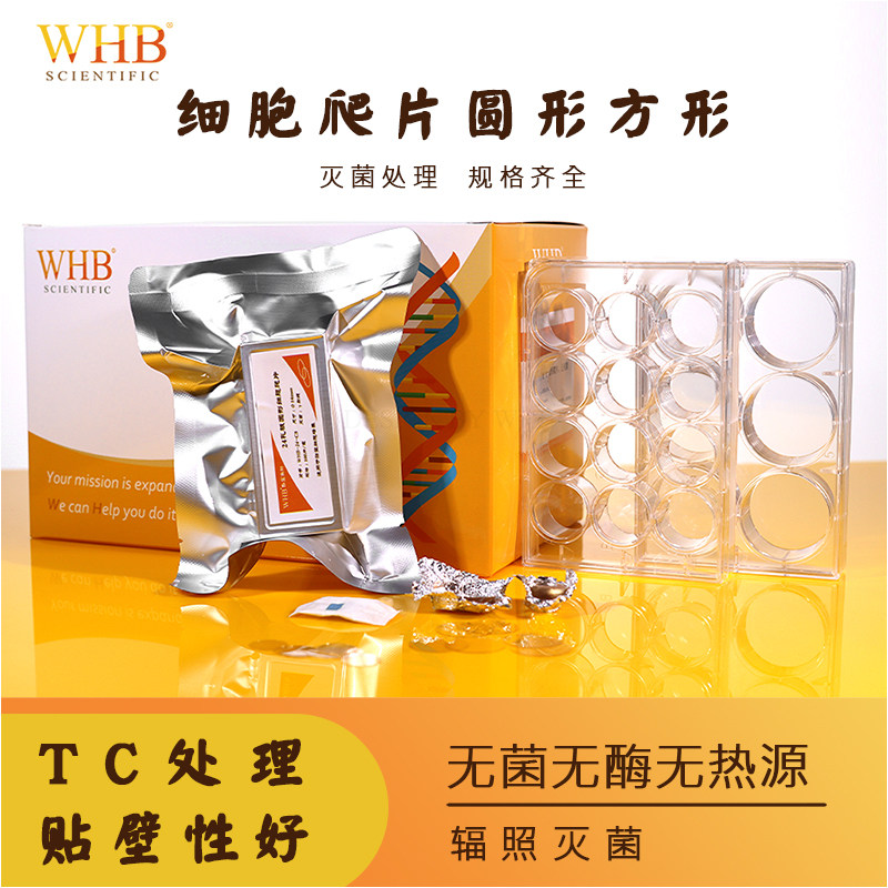 WHB细胞爬片圆形方形TC处理盖玻片无菌多聚赖氨酸细胞爬片6孔12孔24孔48孔96孔爬片100片一盒双面均可使用