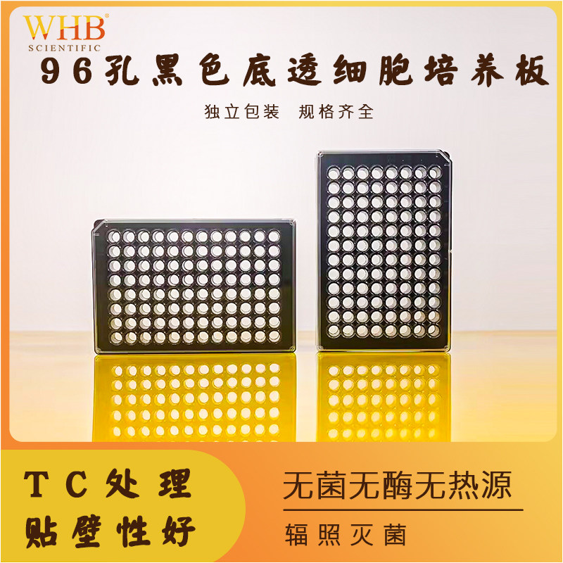 WHB细胞培养板96孔黑色底透板TC贴壁处理透明底96孔板酶标板平底无菌无酶无热原独立包装黑色底透板透明盖