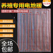 (Factory direct sales) Pig floor heating carbon brazing electric floor heating pig floor heating breeding special electric floor heating electric heating plate