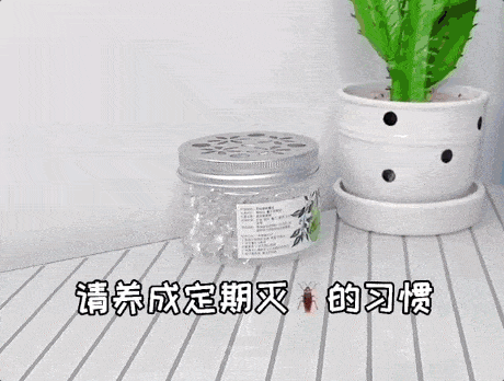 24.gif