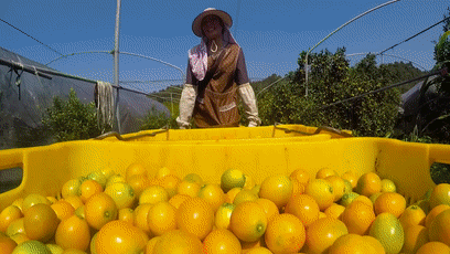 DM_20250422152604_009.gif