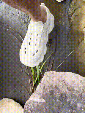 19.gif