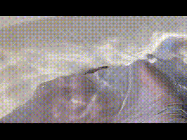 20240515_102436_003.gif