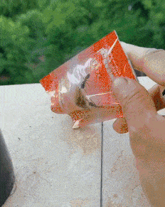 013.gif