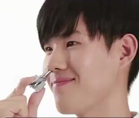 P_010.gif
