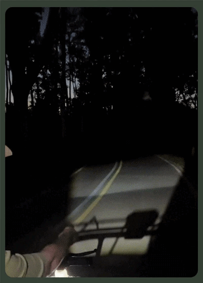 DM_20240822153806_010.gif
