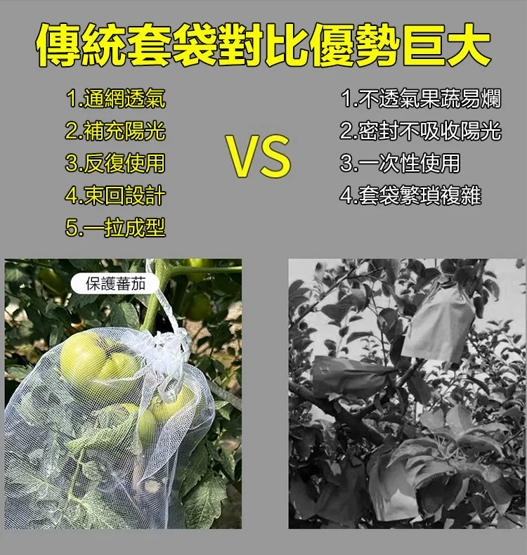 6.webp