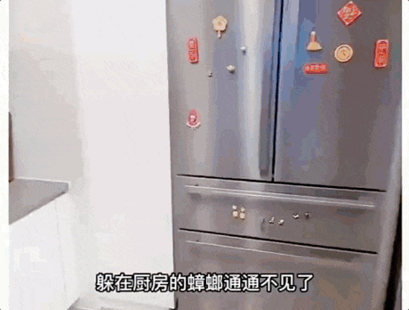 11.gif