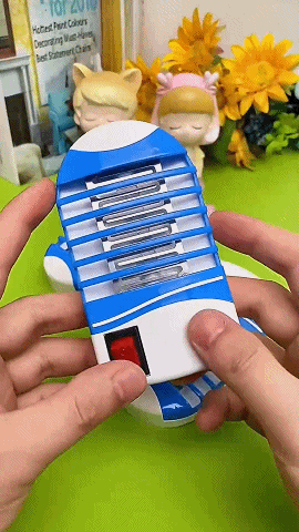 P_019.gif
