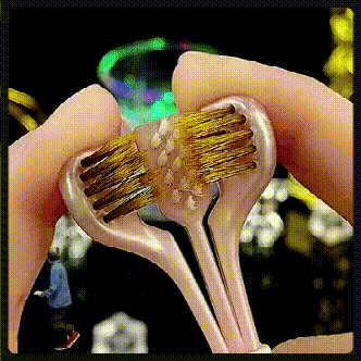 20240614_111823_047 (1).gif