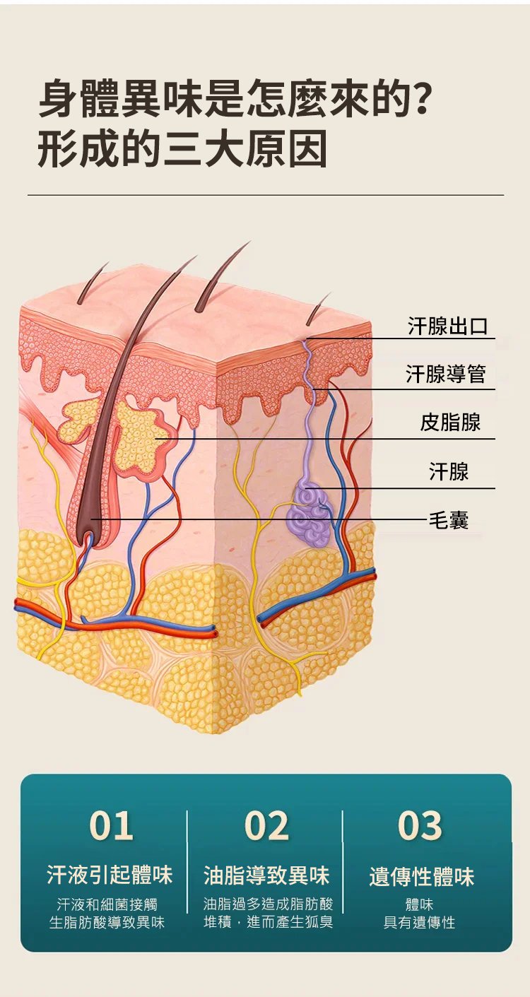 DM_20240821103941_005.jpg
