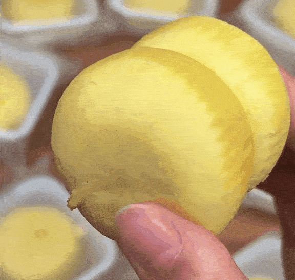 DM_20240505093300_019.gif