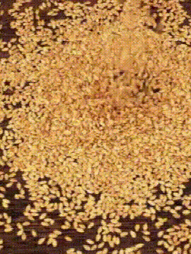 20240529_105622_025 (1) (1).gif