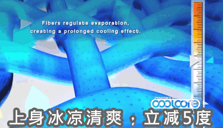 P_015.gif