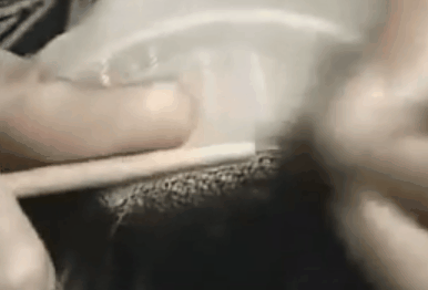 20241017_174307_047.gif