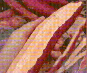 20240607_144218_051 (2) (2).gif