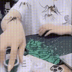 28.gif
