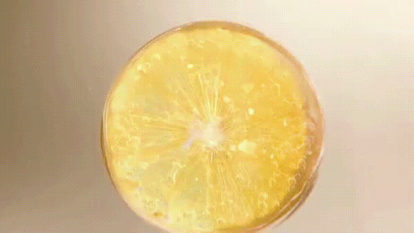 20241106_102228_061 (1).gif