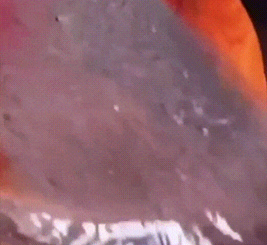018_compressed.gif