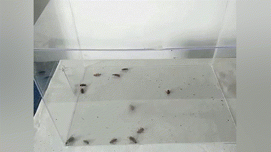 20240614_143945_011 (1).gif