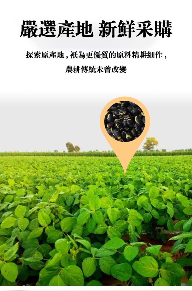 DM_20240806153354_027.jpg