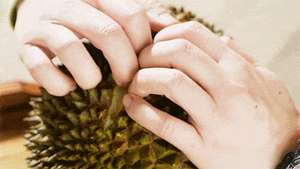 DM_20240505093300_008.gif