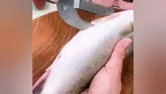 20240321_103814_019 (1).gif