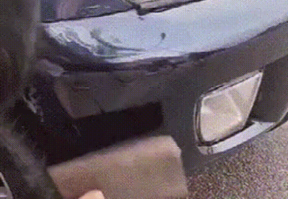 20240904_101500_029 (1).gif