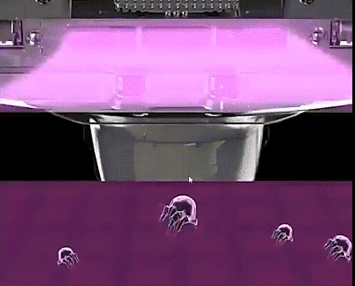 19.gif